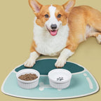 Absorbent, non-slip, quick-drying pet feeding mat.