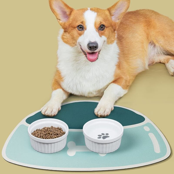 Tapete de alimentação para animais de estimação absorvente - Pet Croc
