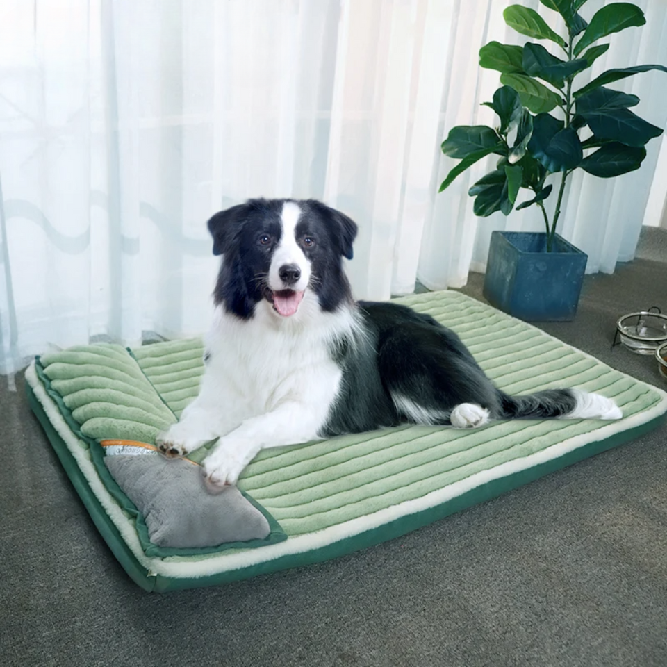 Petbo Large Bed