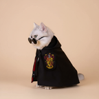 Roupa Fantasia para Pet do Harry Potter