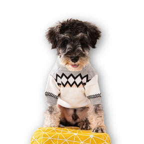 Roupa de Cachorro de Malha Pawda