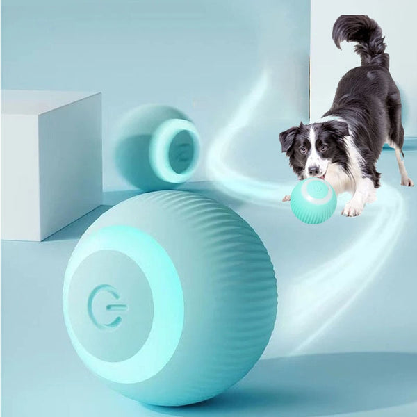 Bolinha com Rolamento Automático Dot para Cachorro - Pet Croc