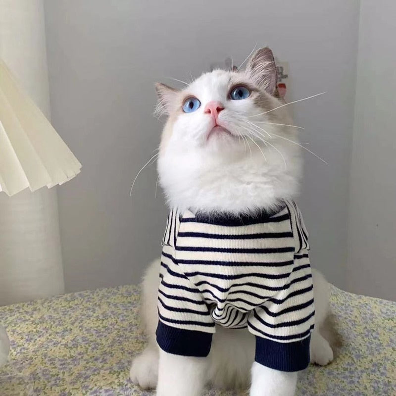 Lilo Pet Sweatshirt 