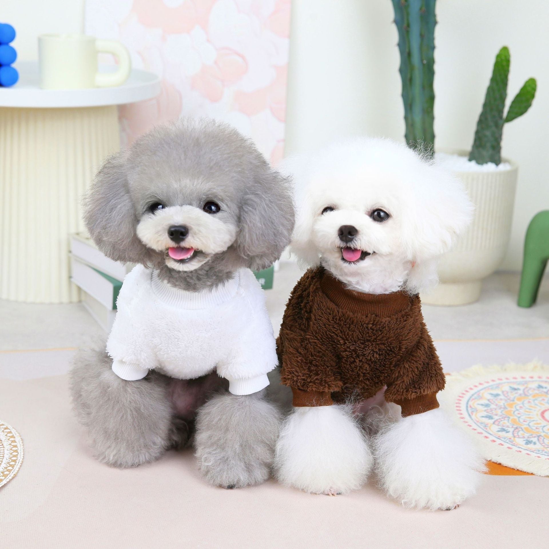 Brior Pet Sweatshirt 
