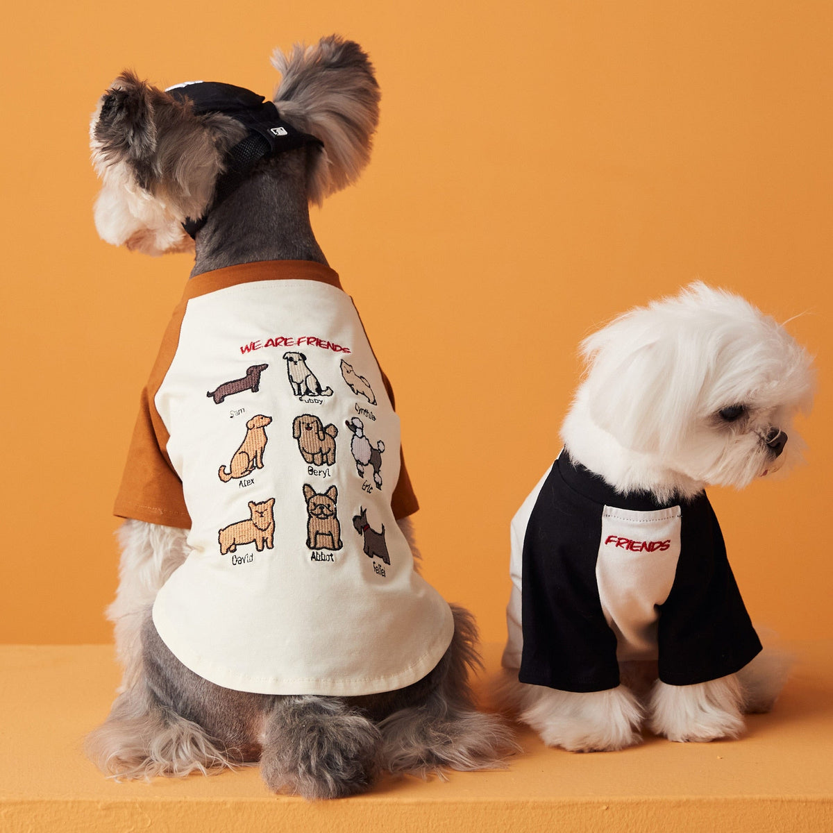 Blusa Pet Friend