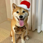 Babador Divertido de Natal