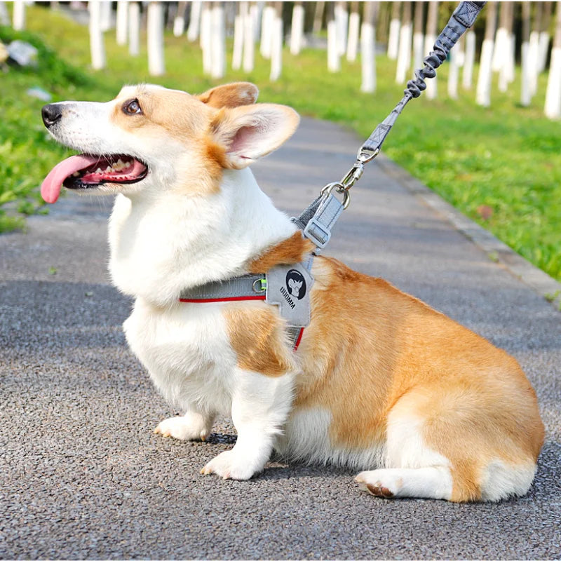 Coleira Peitoral Resistente Pet Fagushi