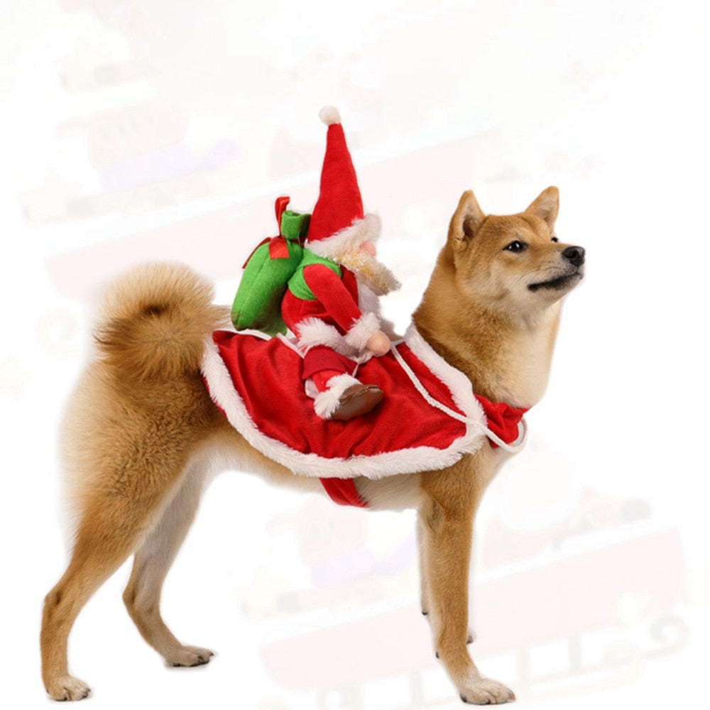 Fun Santa Claus Outfit