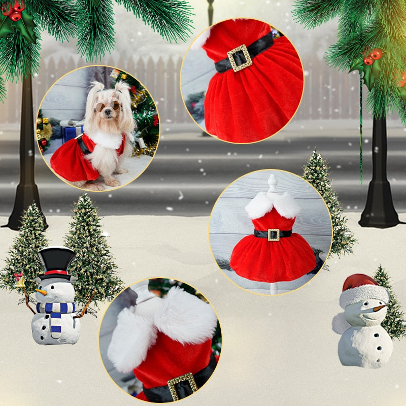 Christmas Pet Dress 