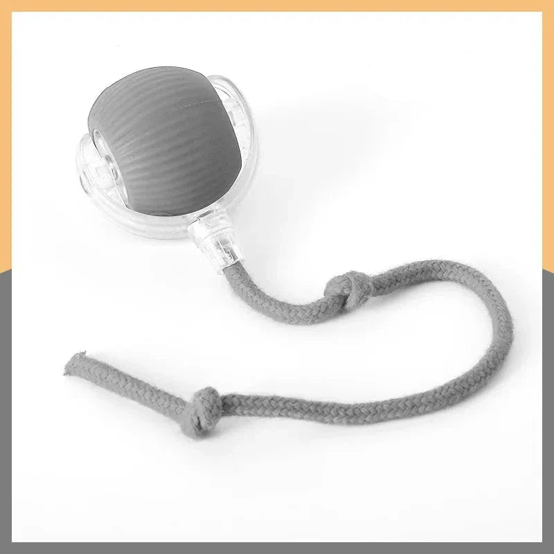Interactive Automatic Pet Drive Sensor Ball