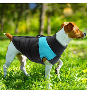 Colete Pet Waterproof