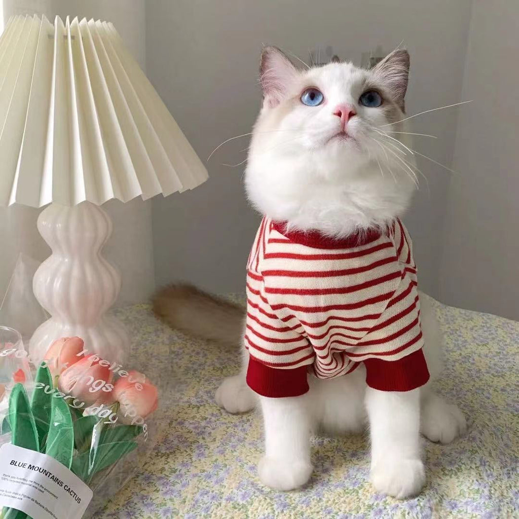 Lilo Pet Sweatshirt 