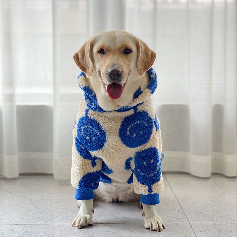 Warm Jumpet Sweatshirt 