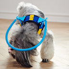 Anti-collision pet collar for blind people.