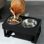 Broklin Raised Bowl with Height Adjustment