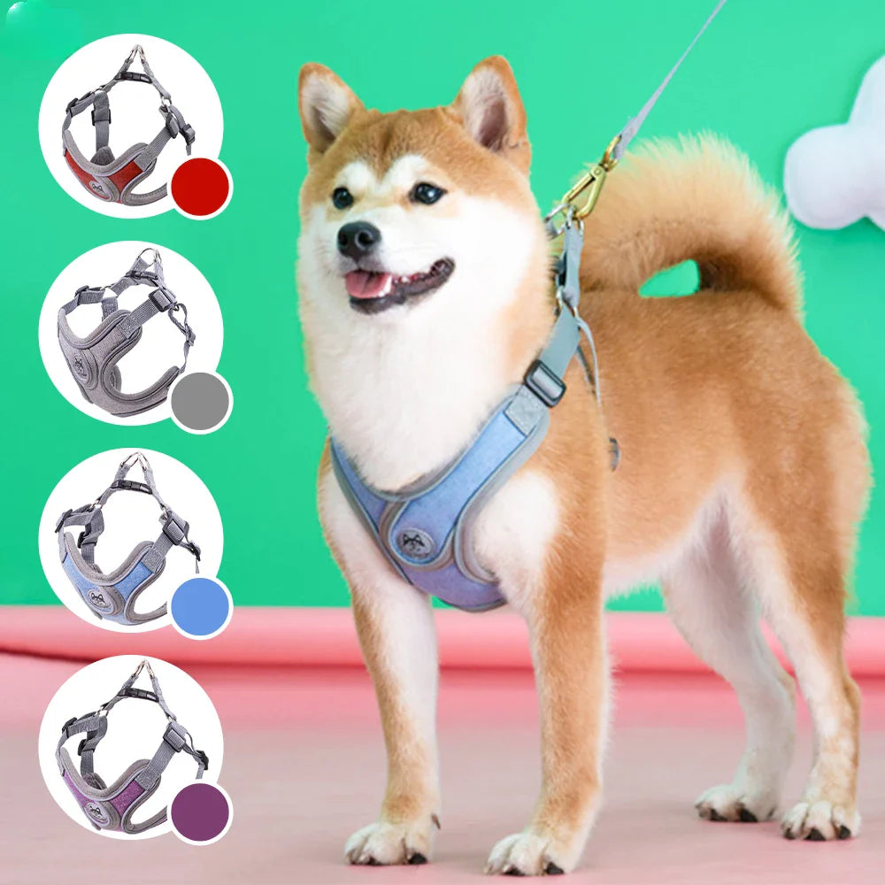 Maguili Pet Collar &amp; Leash Kit 