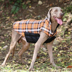 Osvaldi Premium Vest