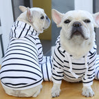 Pet Antunes sweatshirt