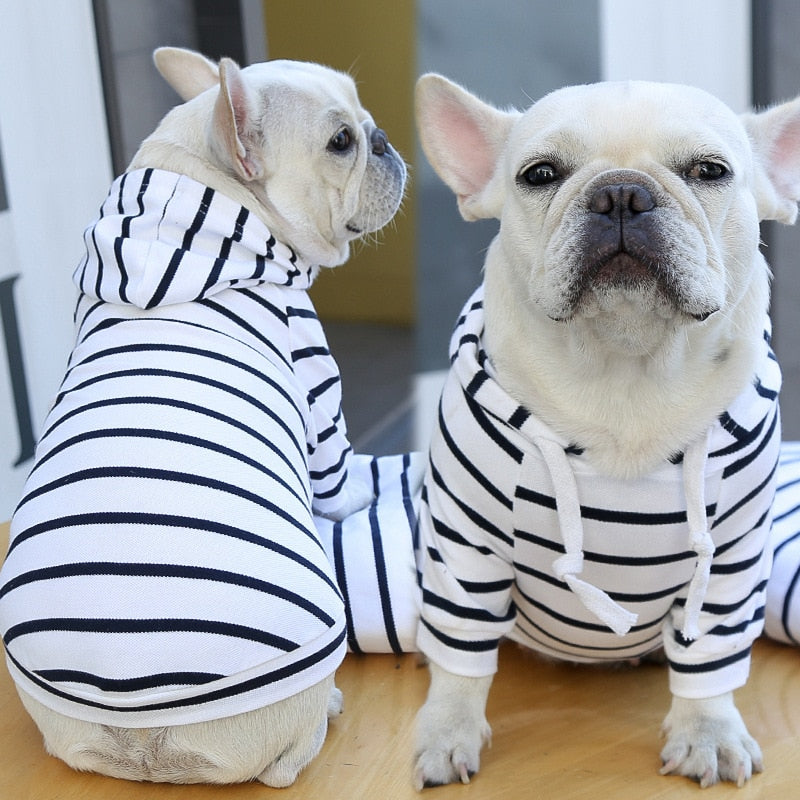 Pet Antunes sweatshirt