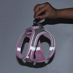 Hamie Pet Collar &amp; Leash