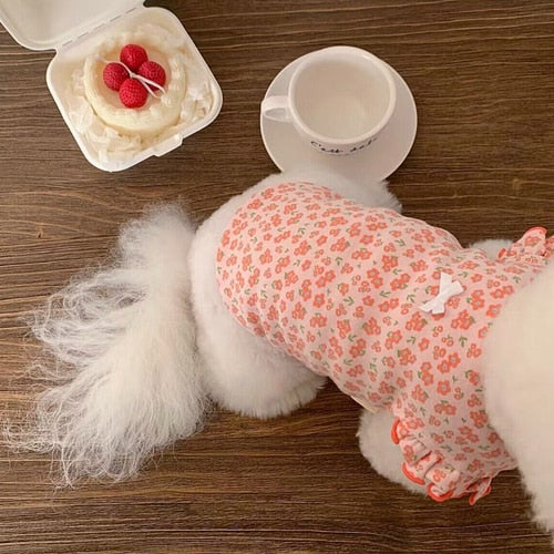 Pet Amandita Blouse