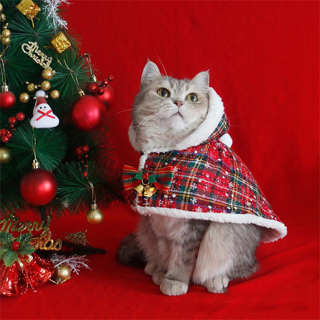 Magical Christmas Pet Cover
