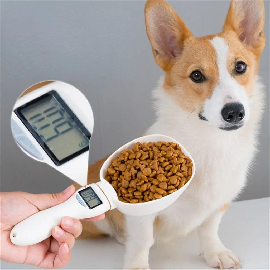 Digital Food Scale