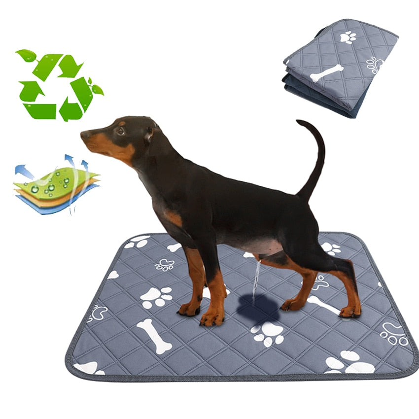 Absorbent and Reusable Mat