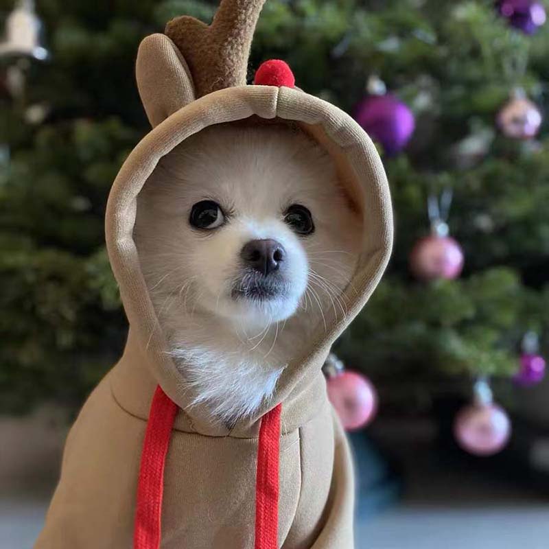 Pet Reindeer Sweatshirt