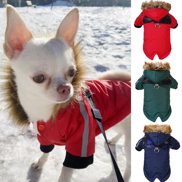 Jaqueta Raimond para Cachorro e Gato - Pet Croc