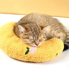 Moon Pet Pillow 