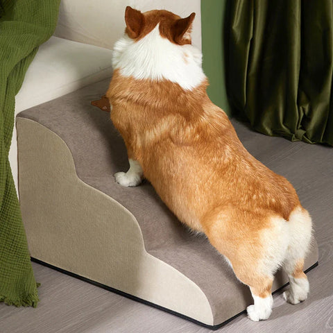 Escada Pet Antiderrapante