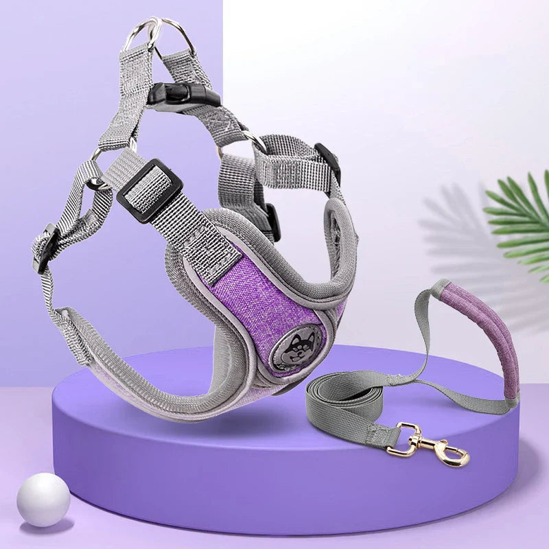 Maguili Pet Collar &amp; Leash Kit 