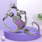 Maguili Pet Collar &amp; Leash Kit 