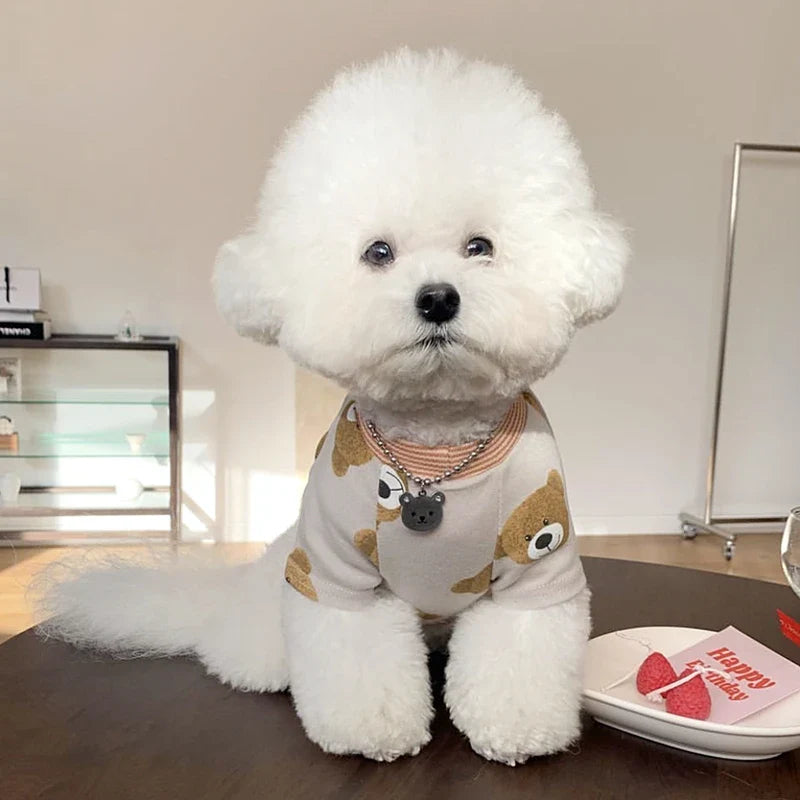 Pijama Pet Teddy Bear