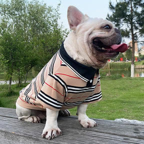 Camiseta Polo Petli