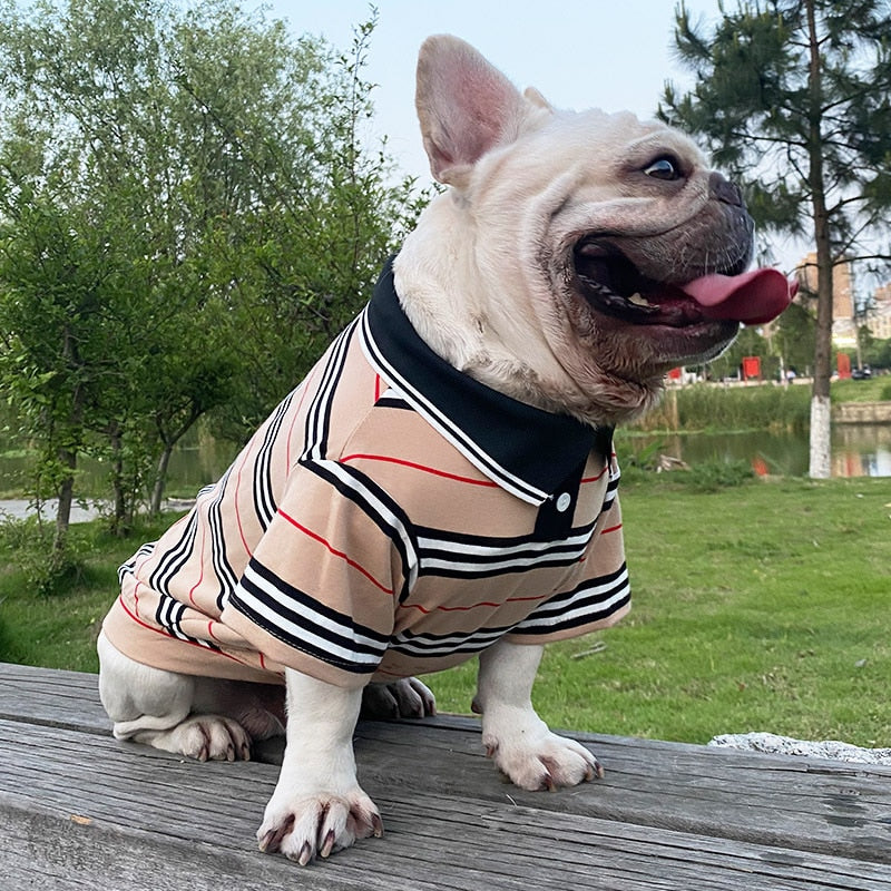 Camiseta Polo Petli