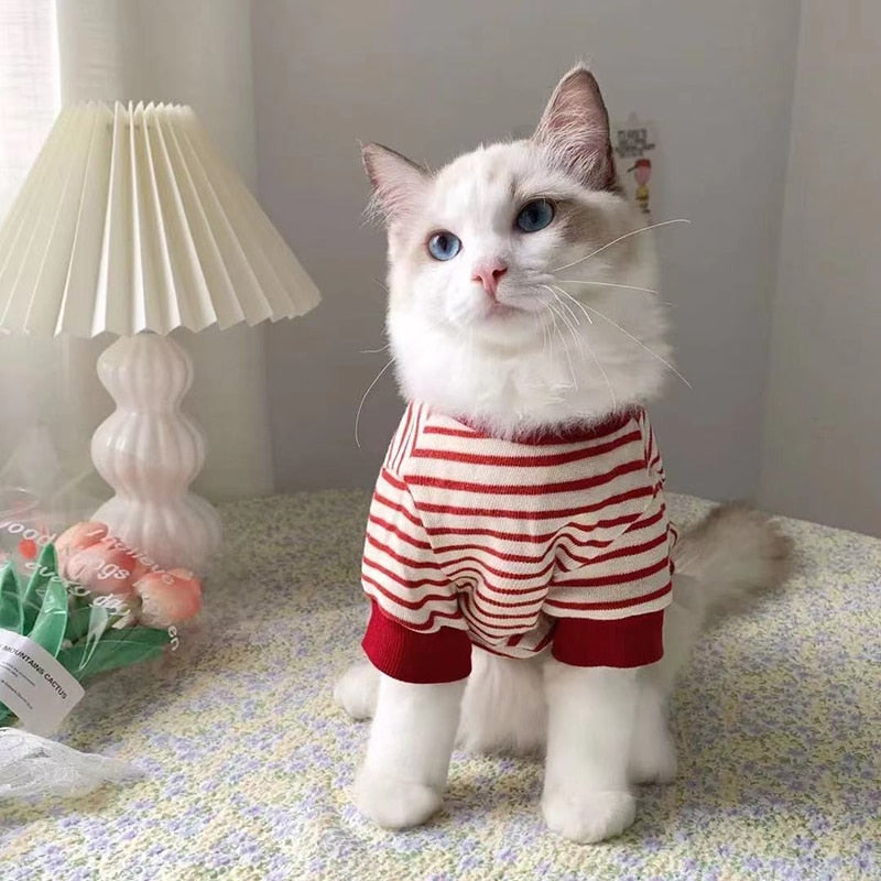 Lilo Pet Sweatshirt 