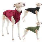 Pet Clothes for Galguinho