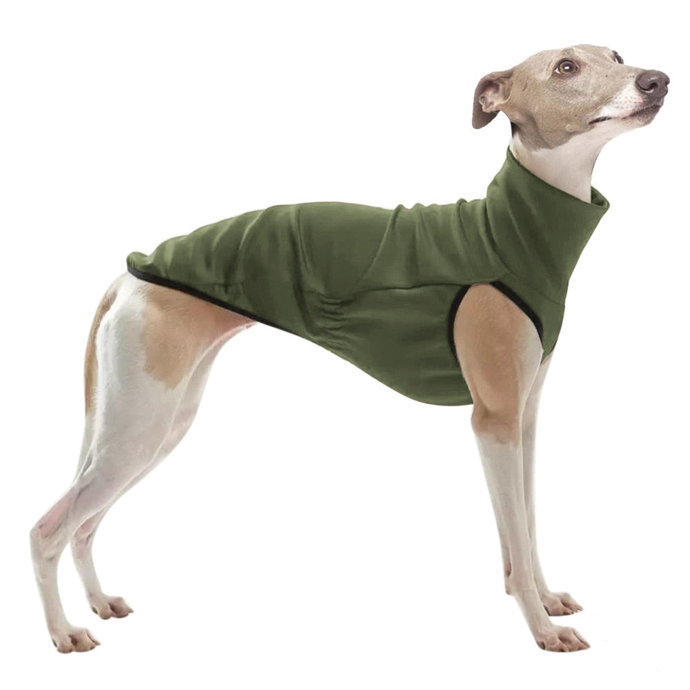 Pet Clothes for Galguinho