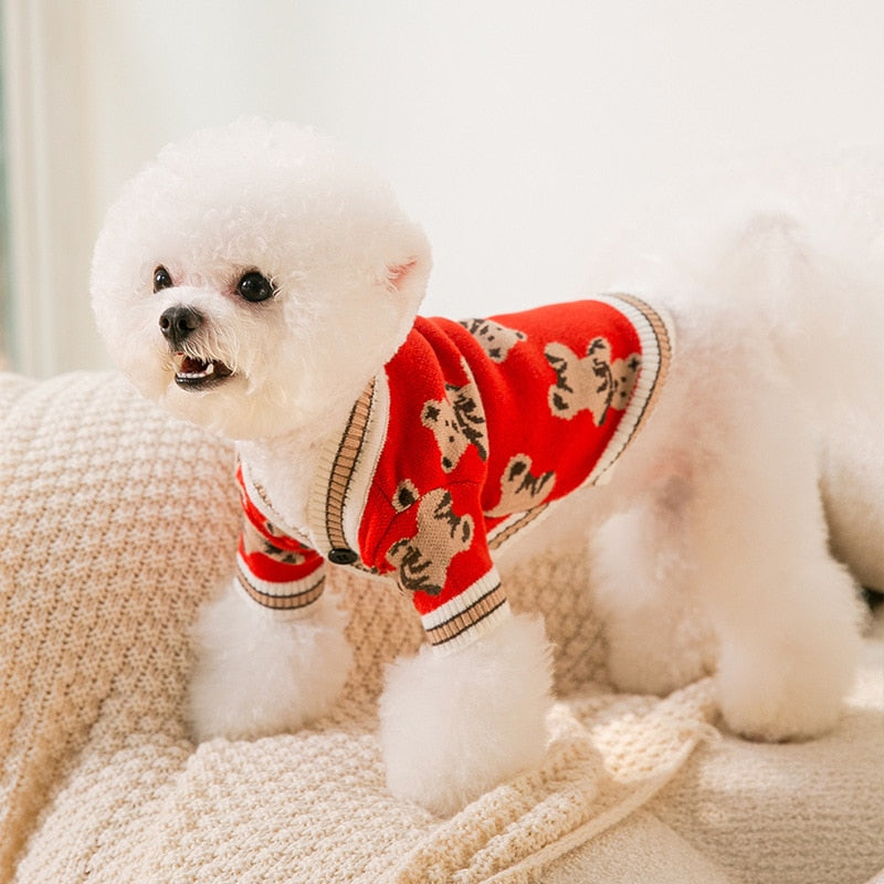 Cardigan Pet Teddy Bears