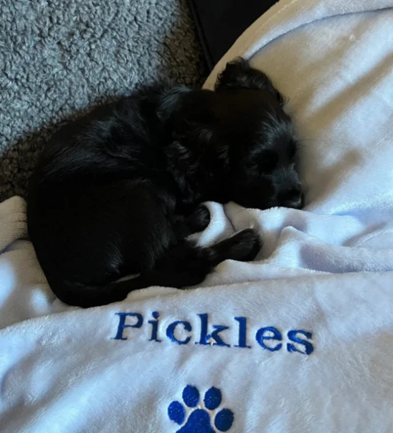 Zimy Personalized Pet Blanket