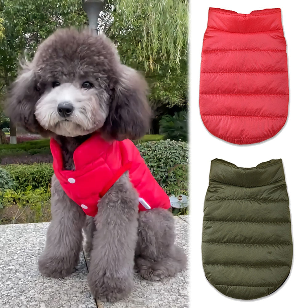 Coleb Pet Vest