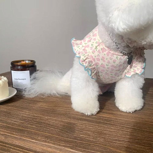Pet Amandita Blouse