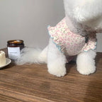 Pet Amandita Blouse