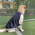 Jaqueta Pet Bomber