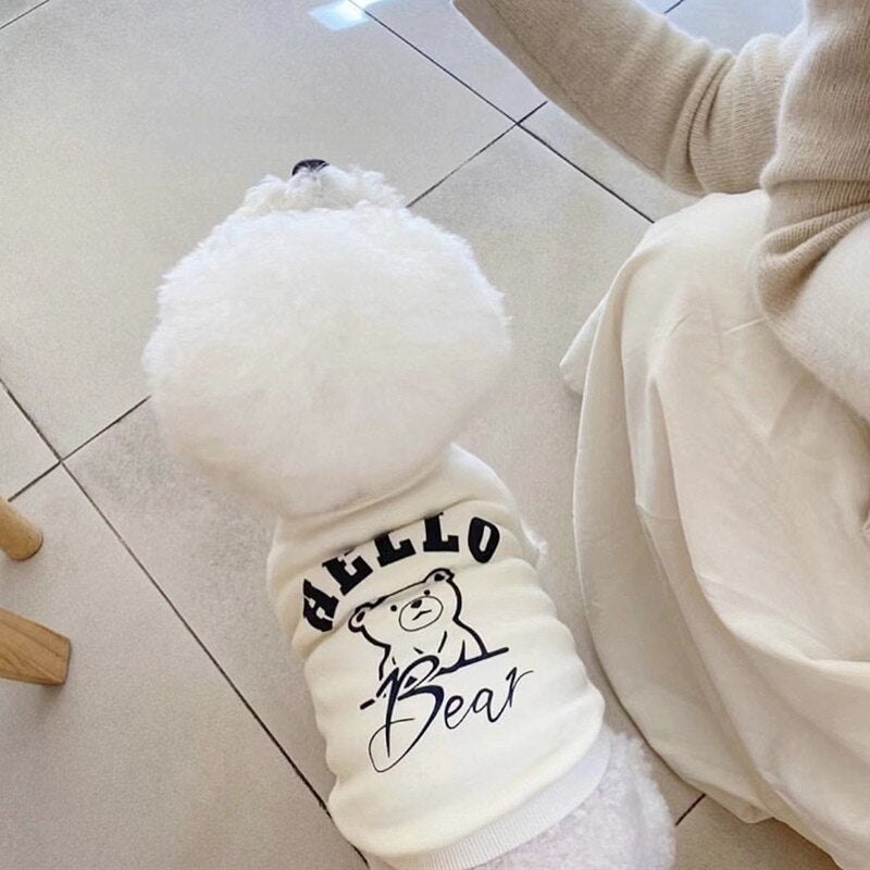 Hello Bear sweatshirt 