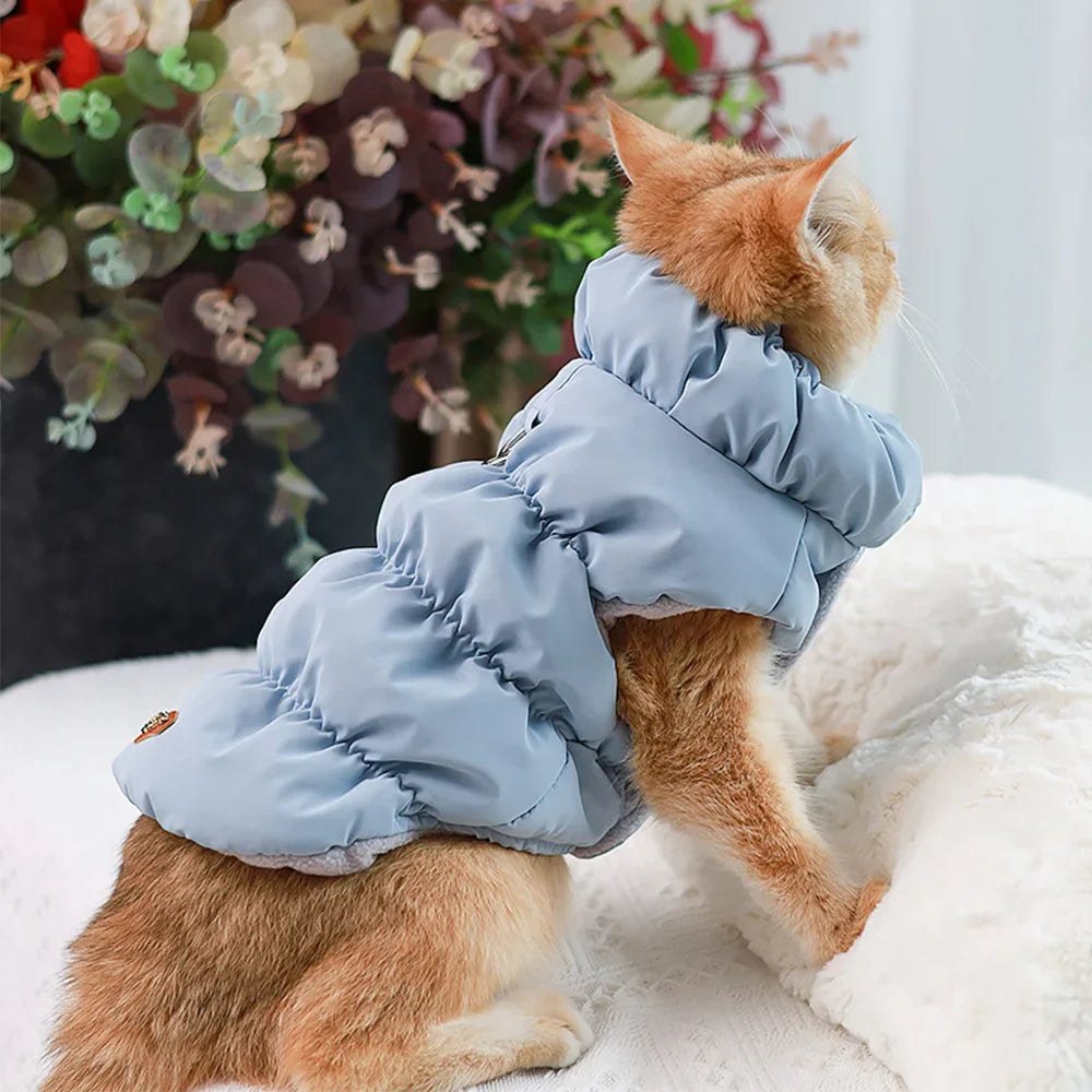 Colete Pet Phyni