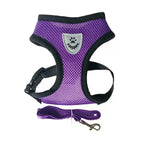 Pet Bunit Collar &amp; Leash