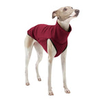 Pet Clothes for Galguinho
